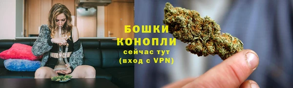spice Лиски