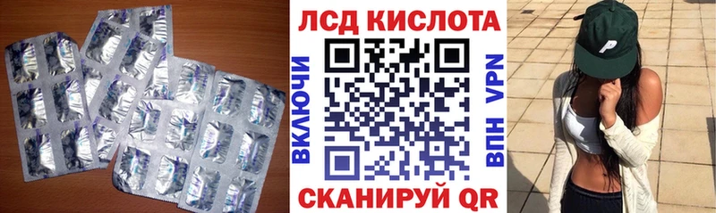 Купить закладки  Приозерск  LSD-25 экстази ecstasy 