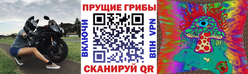 Купить закладки  Приозерск  Псилоцибиновые грибы ЛСД 
