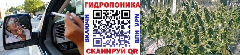 Шишки марихуана OG Kush  Купить  Приозерск 